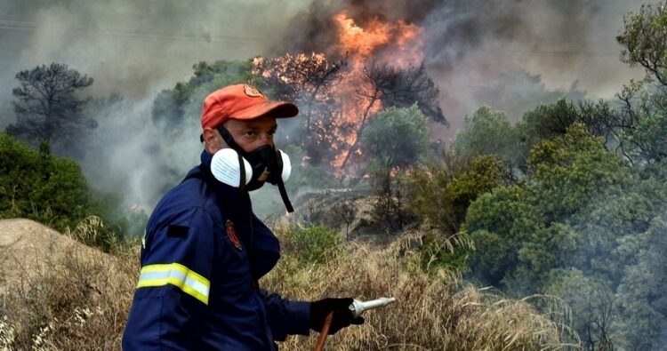 Αντιπυρική περίοδος: «Ποδαρικό» με ρεκόρ καμένων εκτάσεων