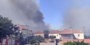 ΝΑΡ: Για την καταστροφική πυρκαγιά στην περιοχή της Τριταίας