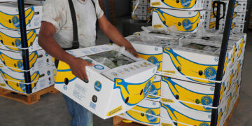 ΑΝΤΑΡΣΥΑ: Αντοχή και έκφραση δυνατοτήτων