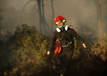 Φωτιές: Ρεκόρ καμένων εκτάσεων πίσω από τις «επιτυχίες»