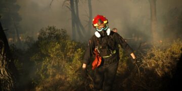 Φωτιές: Ρεκόρ καμένων εκτάσεων πίσω από τις «επιτυχίες»