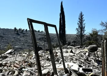 Πολιτική καμένης γης: Στάχτες 105.000 στρέμματα