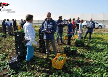 Η ιταλική μαφία αλώνει (και) τον αγροτοδιατροφικό τομέα