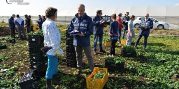 Η ιταλική μαφία αλώνει (και) τον αγροτοδιατροφικό τομέα