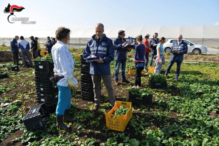 Η ιταλική μαφία αλώνει (και) τον αγροτοδιατροφικό τομέα