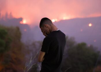Δάση: Πυρκαγιές και πολιτική πρόληψης