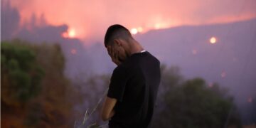 Δάση: Πυρκαγιές και πολιτική πρόληψης