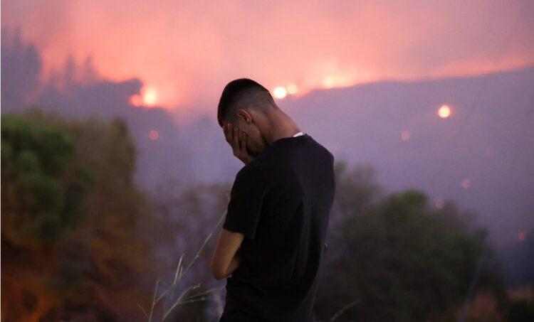 Δάση: Πυρκαγιές και πολιτική πρόληψης