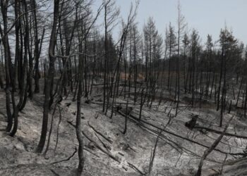 «Περιμένοντας» την επόμενη καταστροφική πυρκαγιά