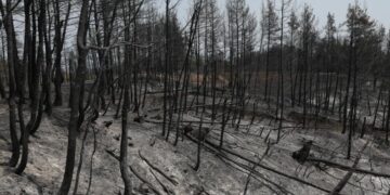 «Περιμένοντας» την επόμενη καταστροφική πυρκαγιά