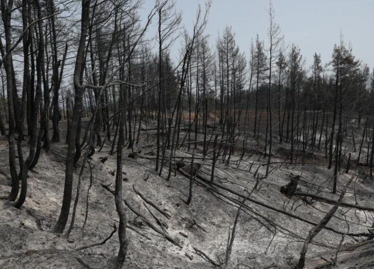 «Περιμένοντας» την επόμενη καταστροφική πυρκαγιά