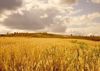 ΟΠΕΚΕΠΕ: Σκάνδαλο ΕΕ και κυβερνήσεων