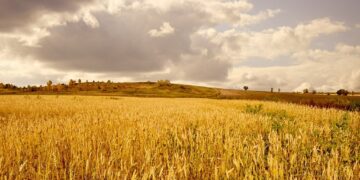 ΟΠΕΚΕΠΕ: Σκάνδαλο ΕΕ και κυβερνήσεων