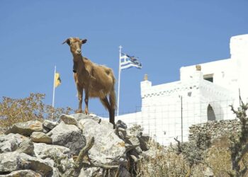 Οι μύθοι της ΕΕ και το σκάνδαλο του ΟΠΕΚΕΠΕ