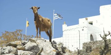 Οι μύθοι της ΕΕ και το σκάνδαλο του ΟΠΕΚΕΠΕ