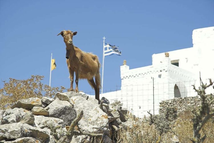 Οι μύθοι της ΕΕ και το σκάνδαλο του ΟΠΕΚΕΠΕ