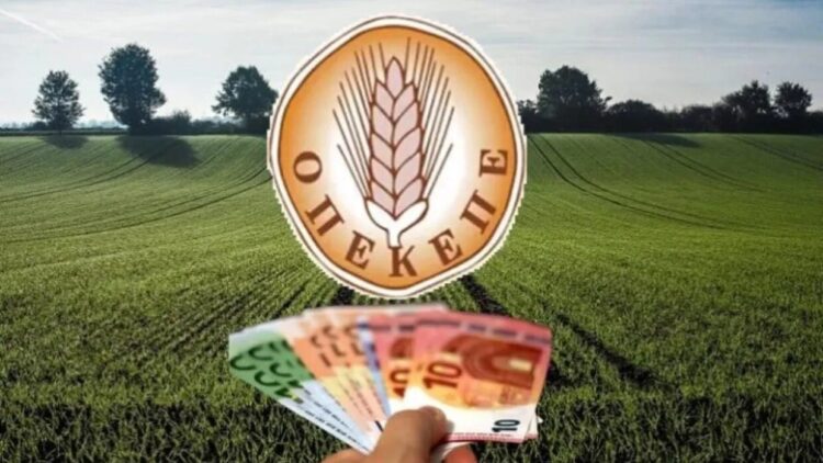 Αριστερή Παρέμβαση στην Ήπειρο: Να παραιτηθούνε τώρα και να πληρώσουν – Αρκετά με τη ρεμούλα σε βάρος του ηπειρωτικού λαού