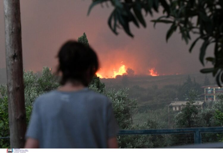 Μετά την καταστροφή-Καμένη γη αφήνουν πίσω οι πυρκαγιές