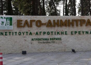 Βιολογικά προϊόντα: «Σαρωτικοί» έλεγχοι με διαλυμένο ΕΛΓΟ-ΔΗΜΗΤΡΑ
