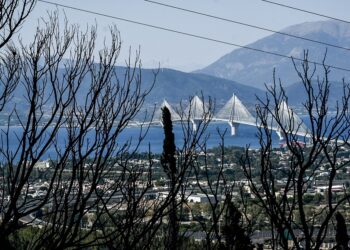 Πυρκαγιές: Κατασκευάζουν ενόχους για να κρύψουν τις ευθύνες τους