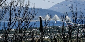 Πυρκαγιές: Κατασκευάζουν ενόχους για να κρύψουν τις ευθύνες τους