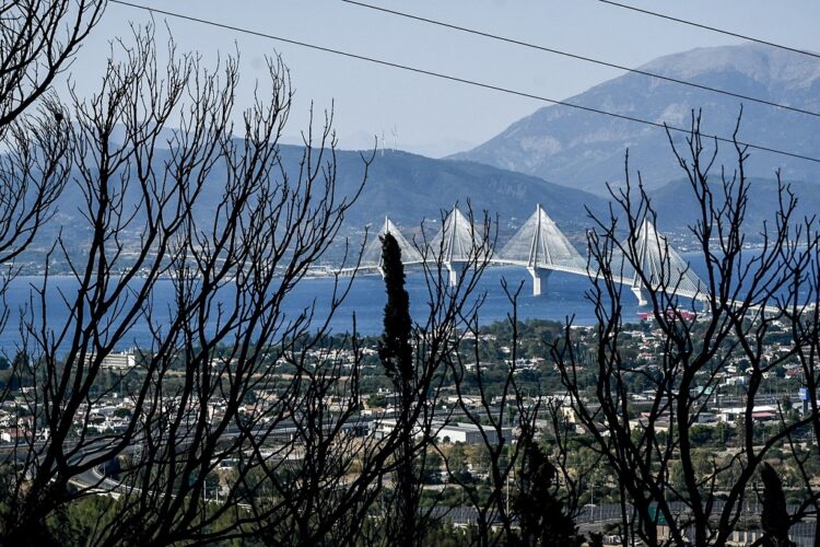 Πυρκαγιές: Κατασκευάζουν ενόχους για να κρύψουν τις ευθύνες τους