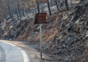 Στάχτη 473.930 στρέμματα μέσα στο 2025