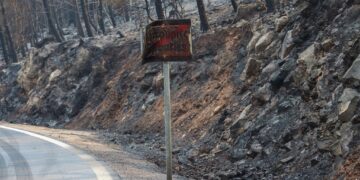 Στάχτη 473.930 στρέμματα μέσα στο 2025