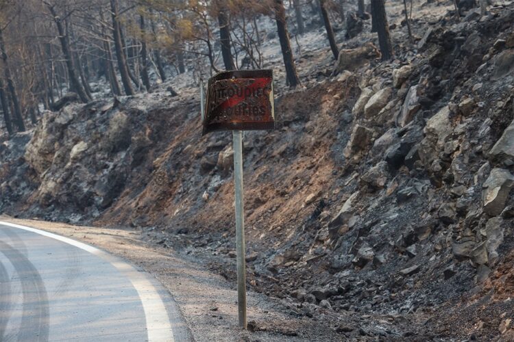 Στάχτη 473.930 στρέμματα μέσα στο 2025