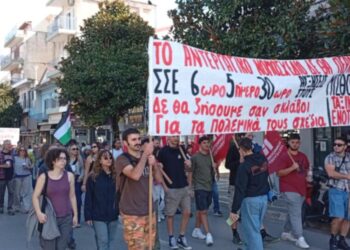 Μαζική απεργιακή κινητοποίηση στα Γιάννενα (φωτο)