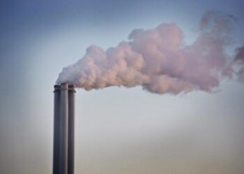 Καύση απορριμμάτων