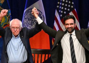 Mamdani: A mayor within the limits of the system and Democrats