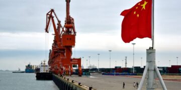 Λιμάνι Πειραιά: Δύο γάιδαροι μαλώνανε σε ξένο αχυρώνα