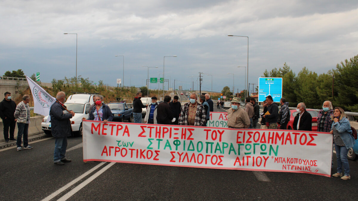 Η ΚΑΠ και το κόστος παραγωγής «σκοτώνουν» τη σταφίδα