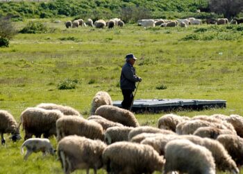 Αυτοκτονία κτηνοτρόφου: Δολοφονία με δράστες πολυεθνικές, ΕΕ, κυβερνήσεις