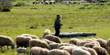 Αυτοκτονία κτηνοτρόφου: Δολοφονία με δράστες πολυεθνικές, ΕΕ, κυβερνήσεις