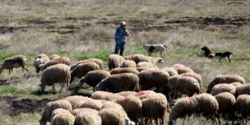 Η ΑΝΤΑΡΣΥΑ για την αυτοκτονία κτηνοτρόφου στη Βροντού Πιερίας