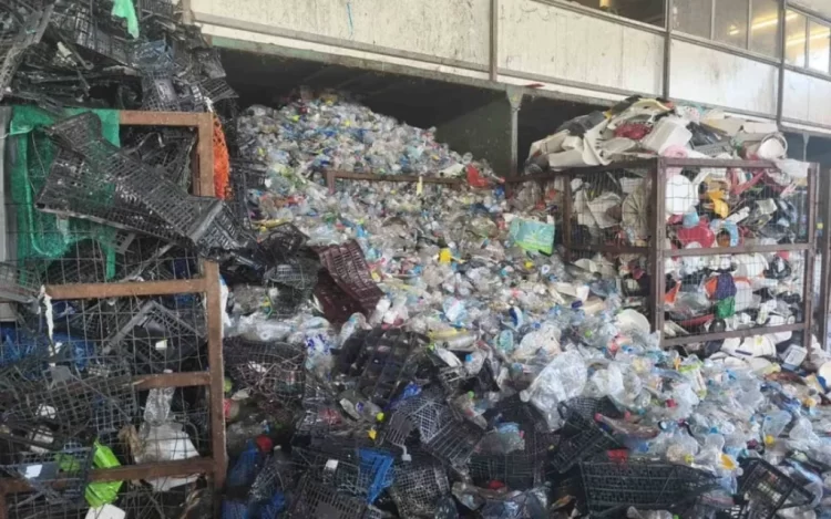 Γιάννενα: Κάτεργο ανακύκλωσης με απλήρωτους εργάτες – Σοκαριστικές εικόνες