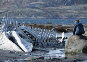 Ξεκίνησαν οι προβολές της κινηματογραφικής λέσχης της «Πόλης Αλλιώς» του Δήμου Νέαπολης-Συκεών