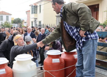 Λέσβος: Μάχη επιβίωσης κόντρα σε κυβέρνηση και αφθώδη πυρετό