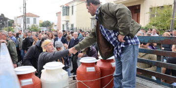 Λέσβος: Μάχη επιβίωσης κόντρα σε κυβέρνηση και αφθώδη πυρετό
