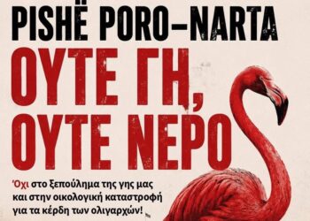 Pishë Poro-Narta: Ούτε γη, ούτε νερό: Φλαμίνγκο αλληλεγγύης και στην Αθήνα