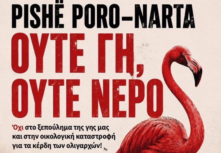 Pishë Poro-Narta: Ούτε γη, ούτε νερό: Φλαμίνγκο αλληλεγγύης και στην Αθήνα