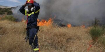 Δασοπροστασία: «Προσάναμμα» οι διαχρονικές ανεπάρκειες και ελλείψεις