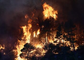 ΑΝΤΑΡΣΥΑ δυτικών: Να ανατρέψουμε την κυβέρνηση και τις πολιτικές που καίνε τα δάση και τις ζωές μας