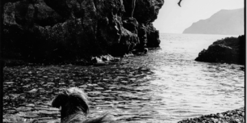 Χώρος και χρόνος της φωτογραφίας: τέχνη και προπαγάνδα