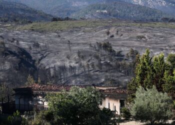 Στάχτη στη Δυτική Αττική η πολιτική και η προπαγάνδα της κυβέρνησης