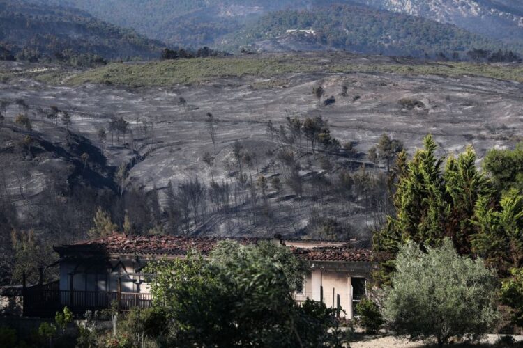 Στάχτη στη Δυτική Αττική η πολιτική και η προπαγάνδα της κυβέρνησης