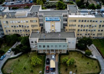 Κρατικό Νίκαιας: Τα κλεφτόδενδρα για τους εργολάβους φουντώνουν!