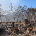Δύο νεκροί στη Σαλαμίνα: Δολοφονικό το κυβερνητικό αφήγημα του «112»